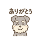 ほのぼのシュナ ゆるトークスタンプ（個別スタンプ：40）