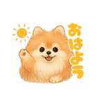 ポメラニアンまこ♥の日常会話2（個別スタンプ：1）
