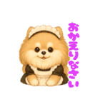 ポメラニアンまこ♥の日常会話2（個別スタンプ：11）