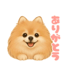 ポメラニアンまこ♥の日常会話2（個別スタンプ：17）
