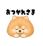ポメラニアンまこ♥の日常会話2（個別スタンプ：19）