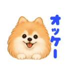 ポメラニアンまこ♥の日常会話2（個別スタンプ：21）