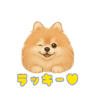 ポメラニアンまこ♥の日常会話2（個別スタンプ：22）