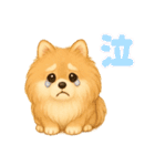 ポメラニアンまこ♥の日常会話2（個別スタンプ：30）