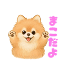 ポメラニアンまこ♥の日常会話2（個別スタンプ：40）