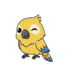 オウムとカモメの物語（個別スタンプ：5）