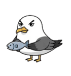 オウムとカモメの物語（個別スタンプ：11）