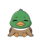マガモとカラスの物語（個別スタンプ：4）
