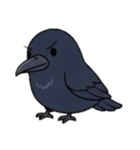 マガモとカラスの物語（個別スタンプ：12）