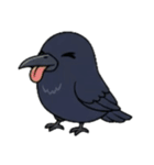 マガモとカラスの物語（個別スタンプ：13）