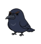マガモとカラスの物語（個別スタンプ：14）