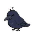 マガモとカラスの物語（個別スタンプ：16）