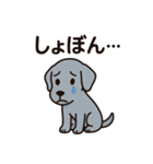 黒犬ココのさみしぃ返事（個別スタンプ：1）