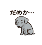 黒犬ココのさみしぃ返事（個別スタンプ：3）