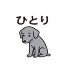 黒犬ココのさみしぃ返事（個別スタンプ：5）