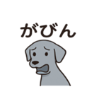 黒犬ココのさみしぃ返事（個別スタンプ：7）