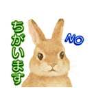 ふんわり敬語♡うさぎ（個別スタンプ：29）