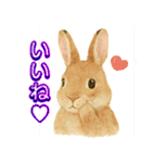 ふんわり敬語♡うさぎ（個別スタンプ：30）