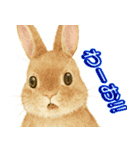 ふんわり敬語♡うさぎ（個別スタンプ：32）