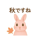 ふんわり敬語♡うさぎ（個別スタンプ：35）