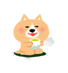 ほぼ文字無し日々の暮らし 犬（個別スタンプ：6）