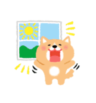 ほぼ文字無し日々の暮らし 犬（個別スタンプ：25）