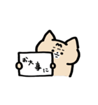 猫と亀の毎日スタンプ（個別スタンプ：10）