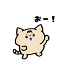 猫と亀の毎日スタンプ（個別スタンプ：12）