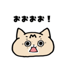 猫と亀の毎日スタンプ（個別スタンプ：13）
