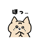 猫と亀の毎日スタンプ（個別スタンプ：29）