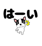 デカ文字フレンチブルドックのブルちゃん47（個別スタンプ：7）