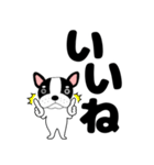 デカ文字フレンチブルドックのブルちゃん47（個別スタンプ：9）