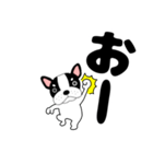デカ文字フレンチブルドックのブルちゃん47（個別スタンプ：12）