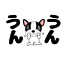 デカ文字フレンチブルドックのブルちゃん47（個別スタンプ：15）