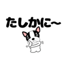 デカ文字フレンチブルドックのブルちゃん47（個別スタンプ：16）