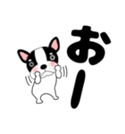 デカ文字フレンチブルドックのブルちゃん47（個別スタンプ：19）