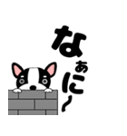 デカ文字フレンチブルドックのブルちゃん47（個別スタンプ：27）