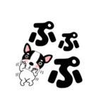 デカ文字フレンチブルドックのブルちゃん47（個別スタンプ：29）