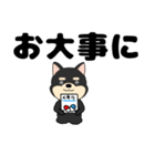 【デカ文字】柴犬のしば吉22（個別スタンプ：40）