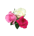 花の写真で花束作り（個別スタンプ：6）