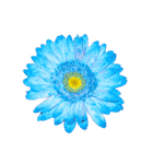 花の写真で花束作り（個別スタンプ：19）