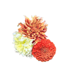 花の写真で花束作り（個別スタンプ：24）