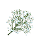 花の写真で花束作り（個別スタンプ：30）