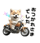 敬語♡バイク好き 豆柴（個別スタンプ：1）