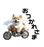 敬語♡バイク好き 豆柴（個別スタンプ：3）