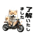 敬語♡バイク好き 豆柴（個別スタンプ：5）