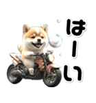 敬語♡バイク好き 豆柴（個別スタンプ：6）