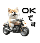 敬語♡バイク好き 豆柴（個別スタンプ：7）