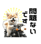 敬語♡バイク好き 豆柴（個別スタンプ：8）