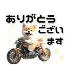 敬語♡バイク好き 豆柴（個別スタンプ：9）